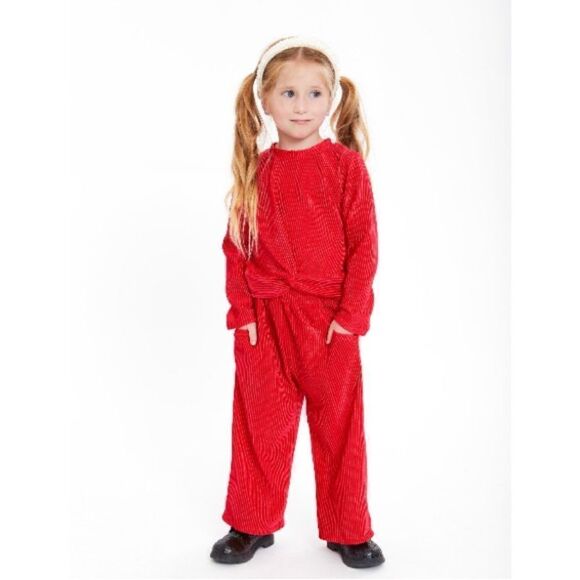 Toddler Girls Plush Ribbed Velour Top & Bottom 2-Piece Set Size 3T - Picture 5 of 8